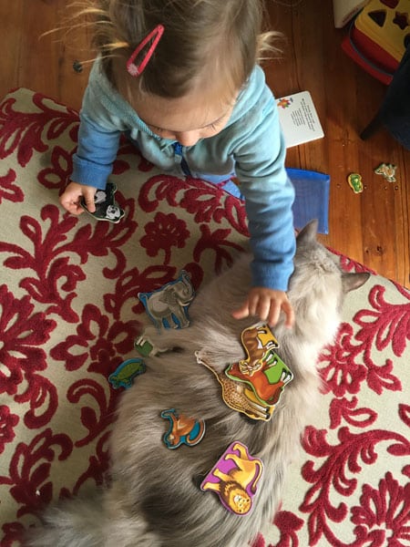 Stoli plays with Aria, 23 September 2016